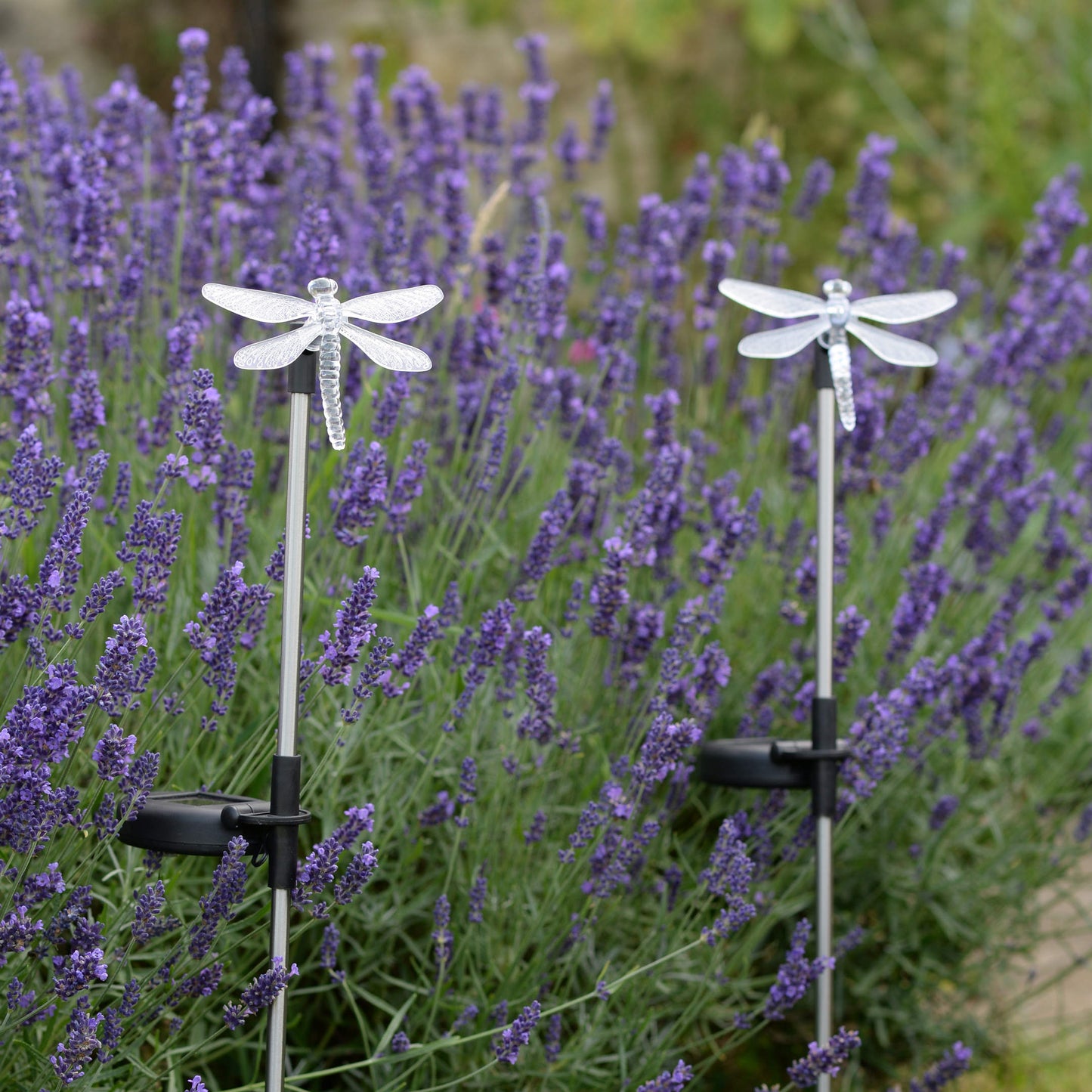 Glow Stake Lights ⸱ solárny zápich do záhrady