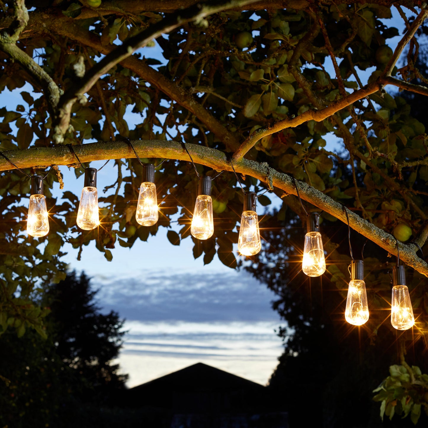 10 Eureka! Vintage Lightbulbs ⸱ solárna svetelná reťaz