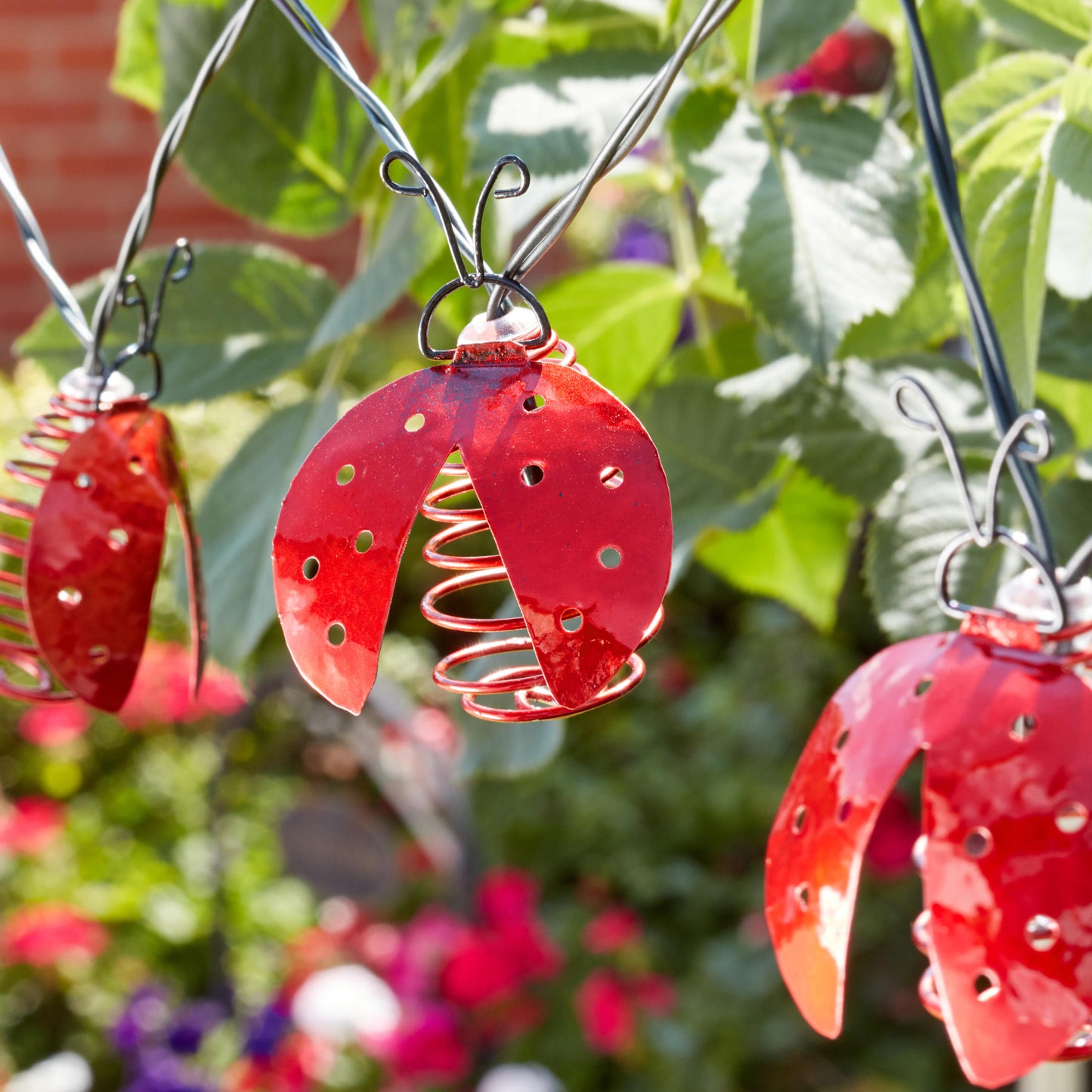 10 Ladybird String Lights ⸱ solárna svetelná reťaz