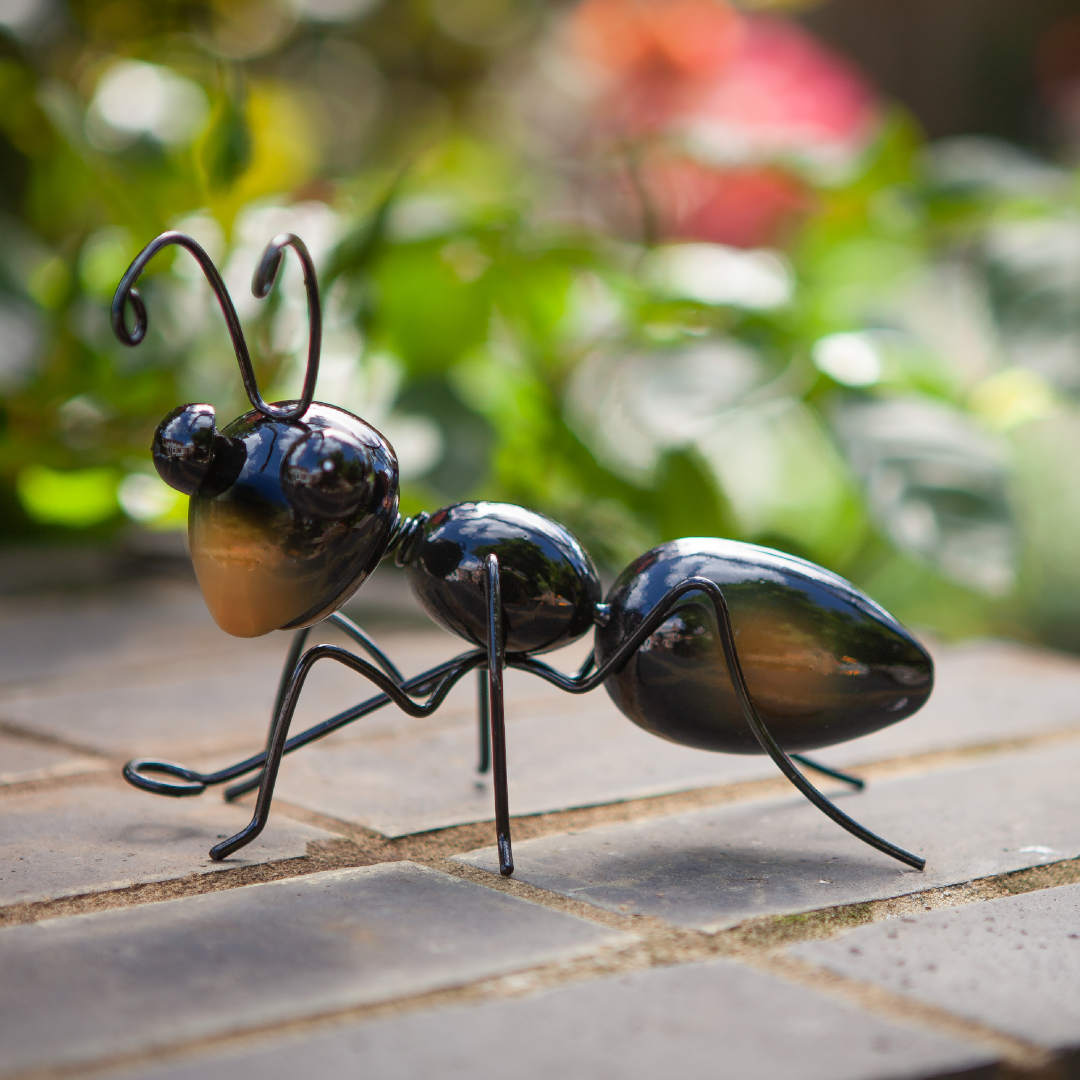 Ants ⸱ kovové figúrky mravcov
