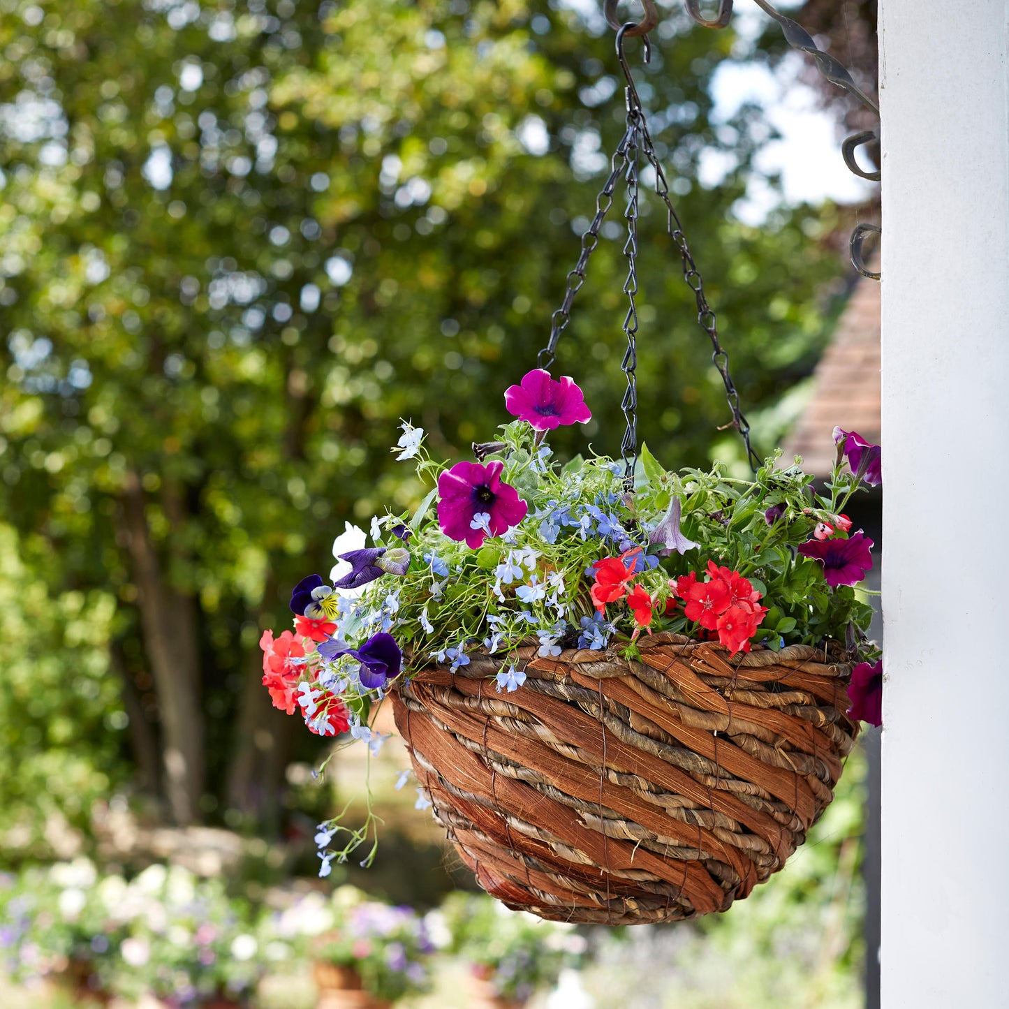 Rafiki Basket ⸱ závesný kvetináč