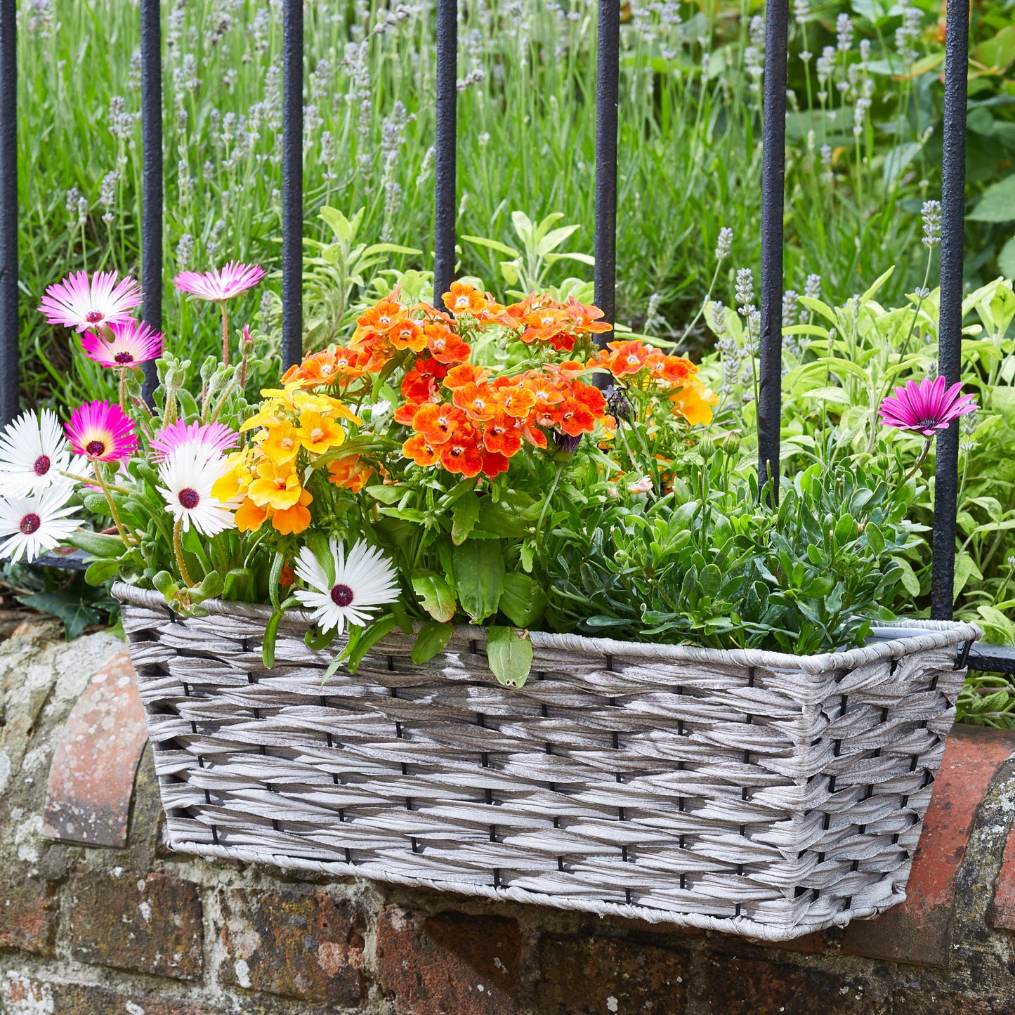 19" Bari Faux Rattan Soft Grey ⸱ závesný balkónový kvetináč 48cm