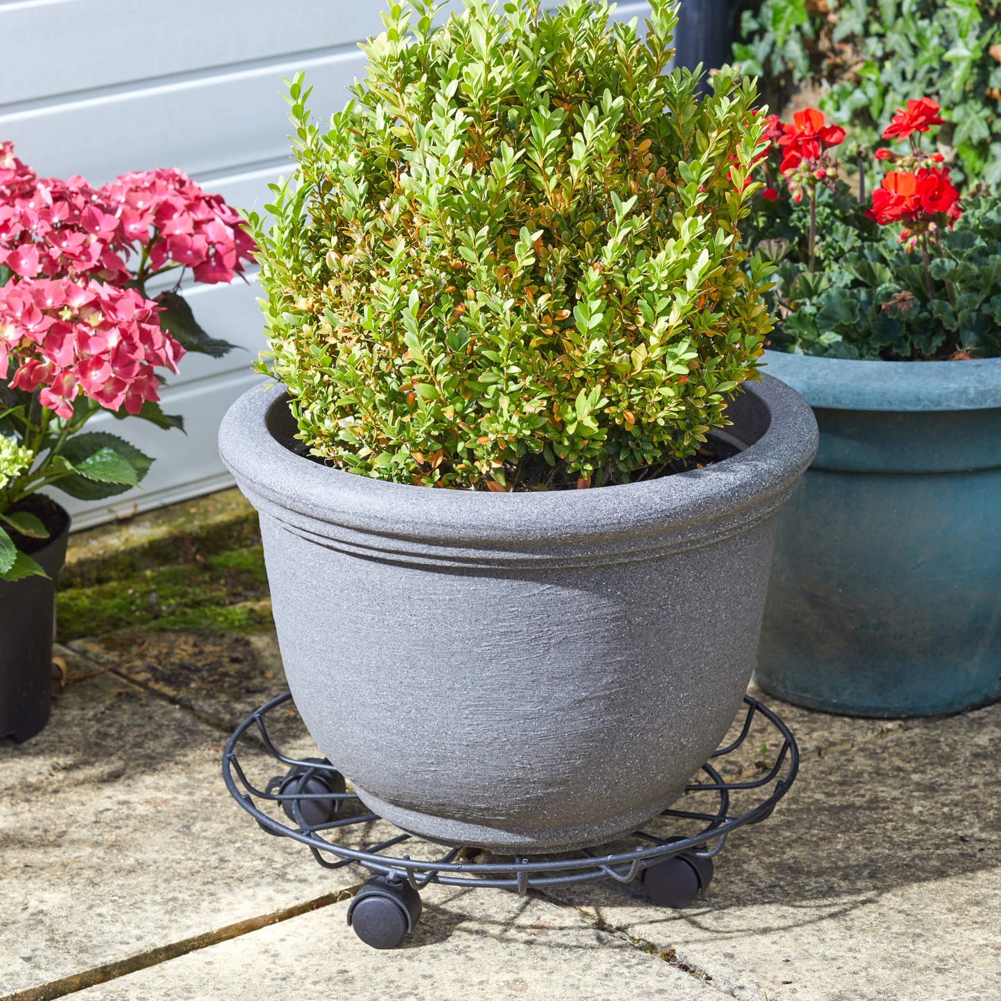 Titan Pot Caddy ⸱ vozík pod kvetináč ⌀ 40cm