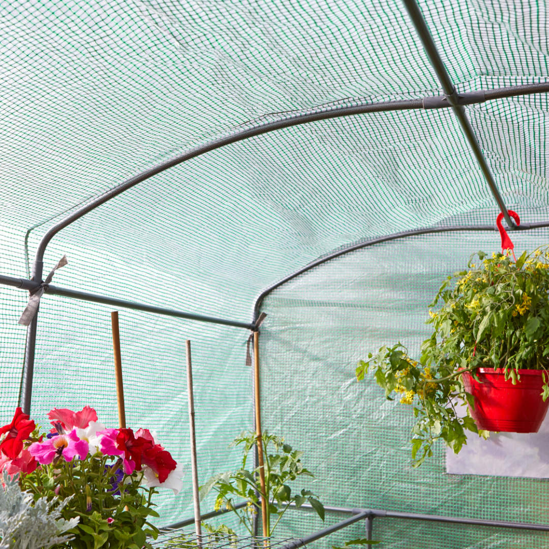 Greenhouse GroZone Max ⸱ fóliovník