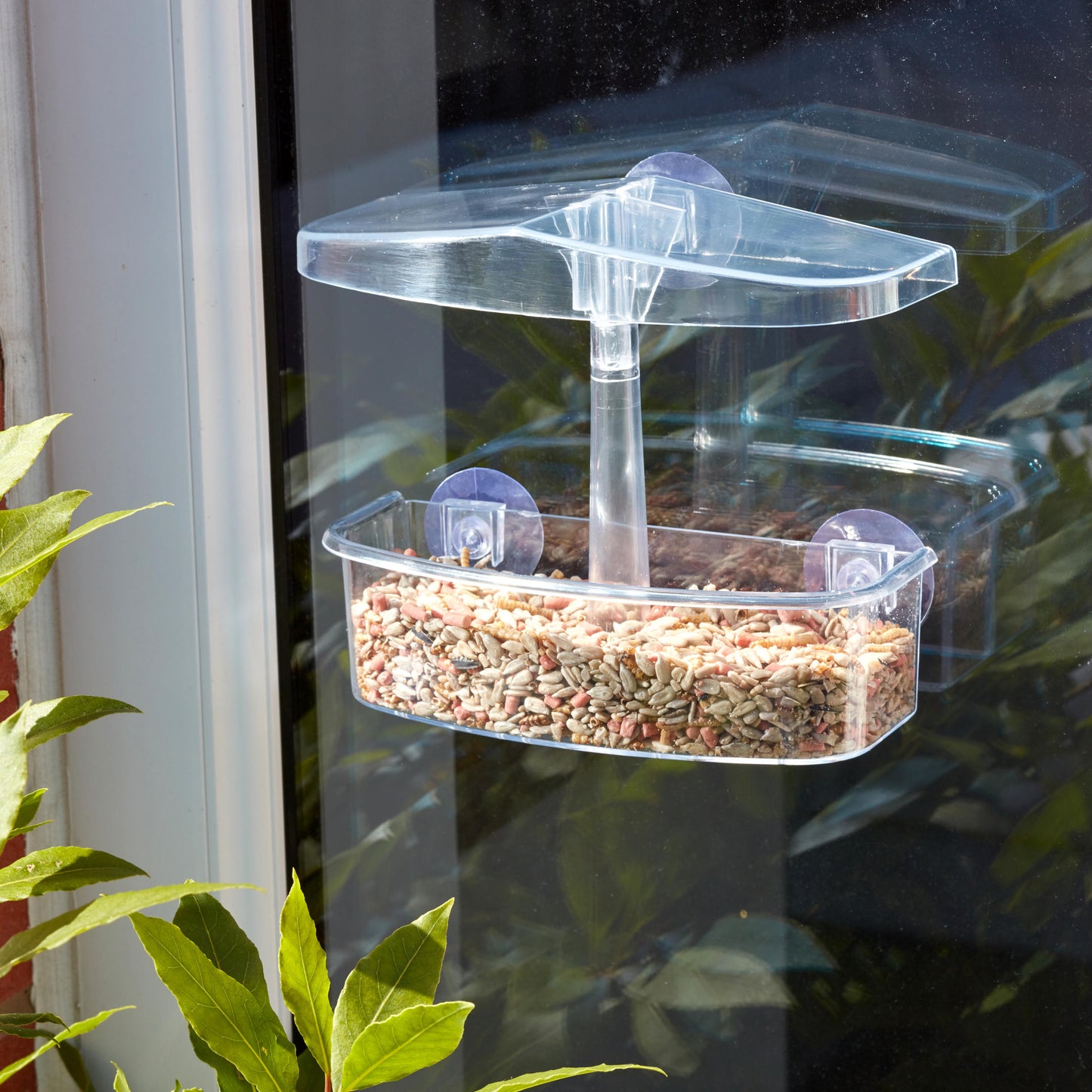 WindoWatch Bird Feeder ⸱ vtáčie kŕmitko na okno