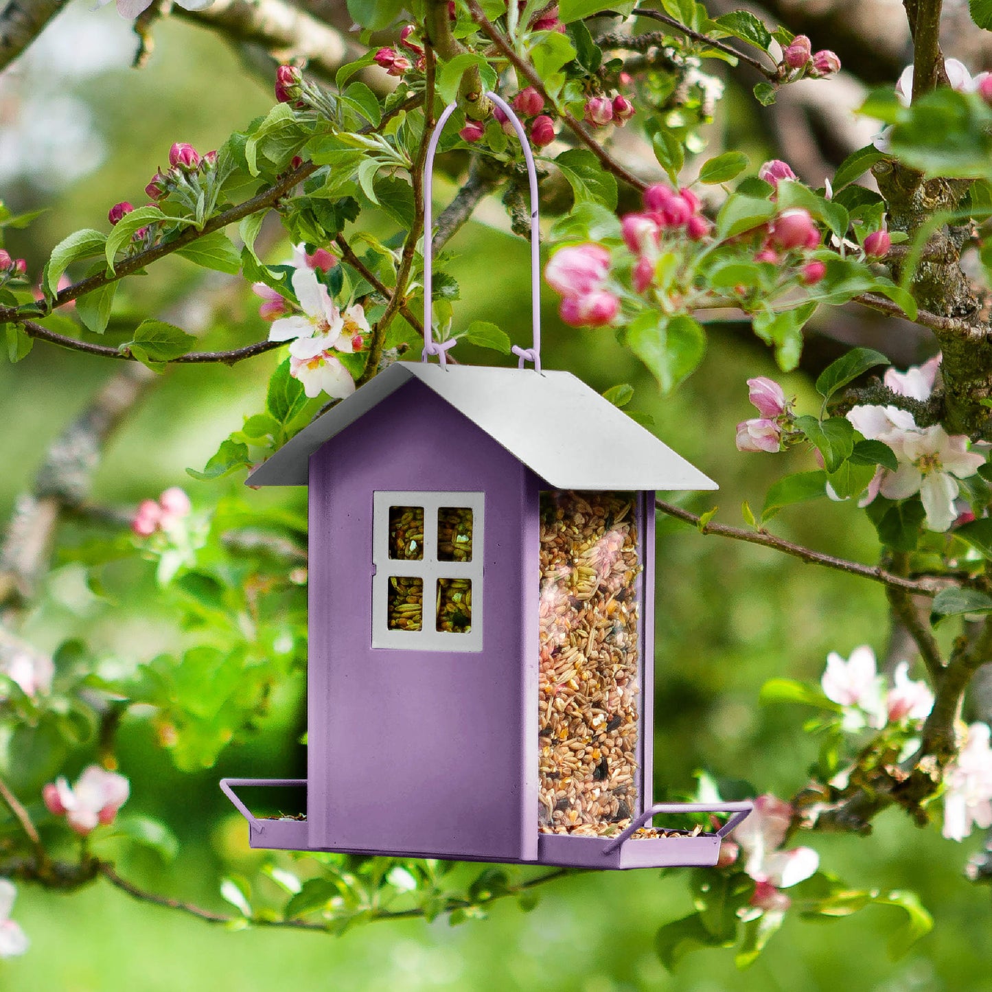 Beach Hut Feeders ⸱ vtáčie kŕmitko