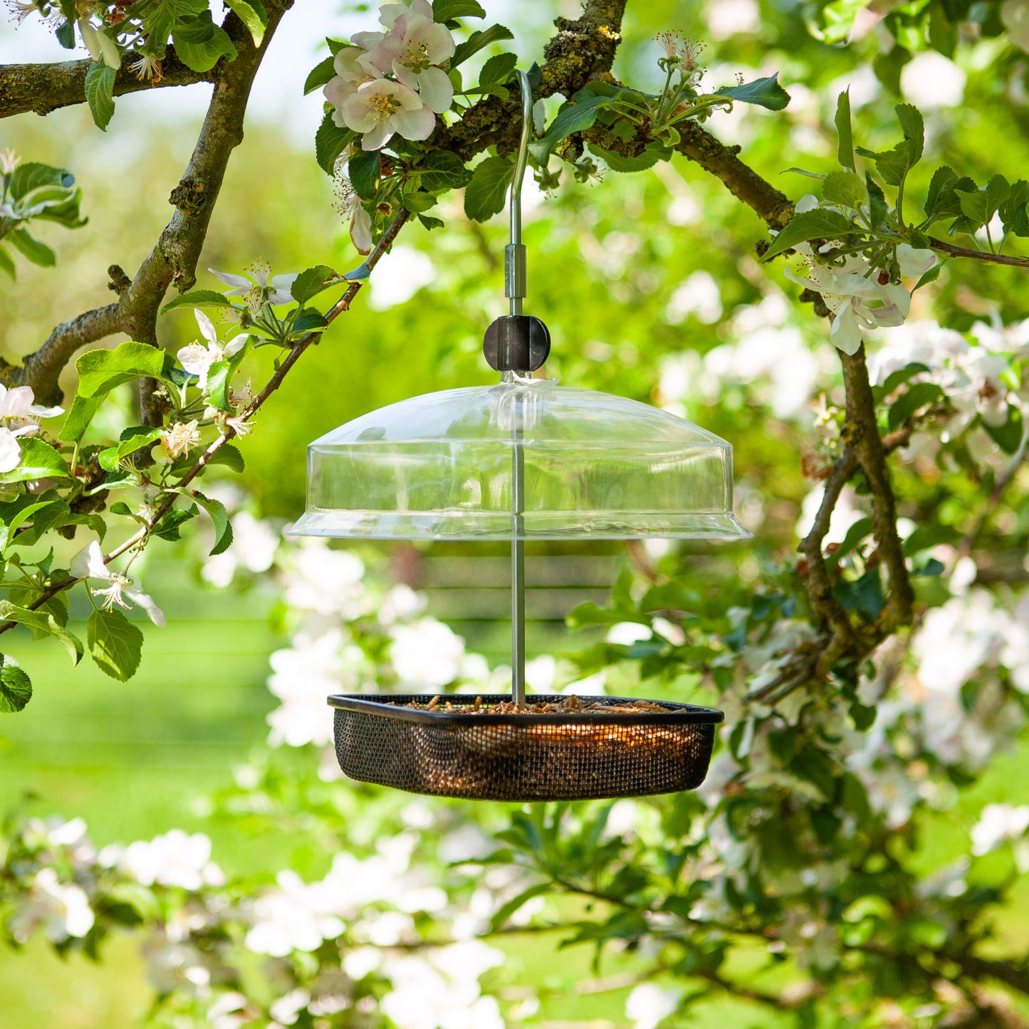 Mealworm & Suet Feeder ⸱ vtáčie kŕmitko