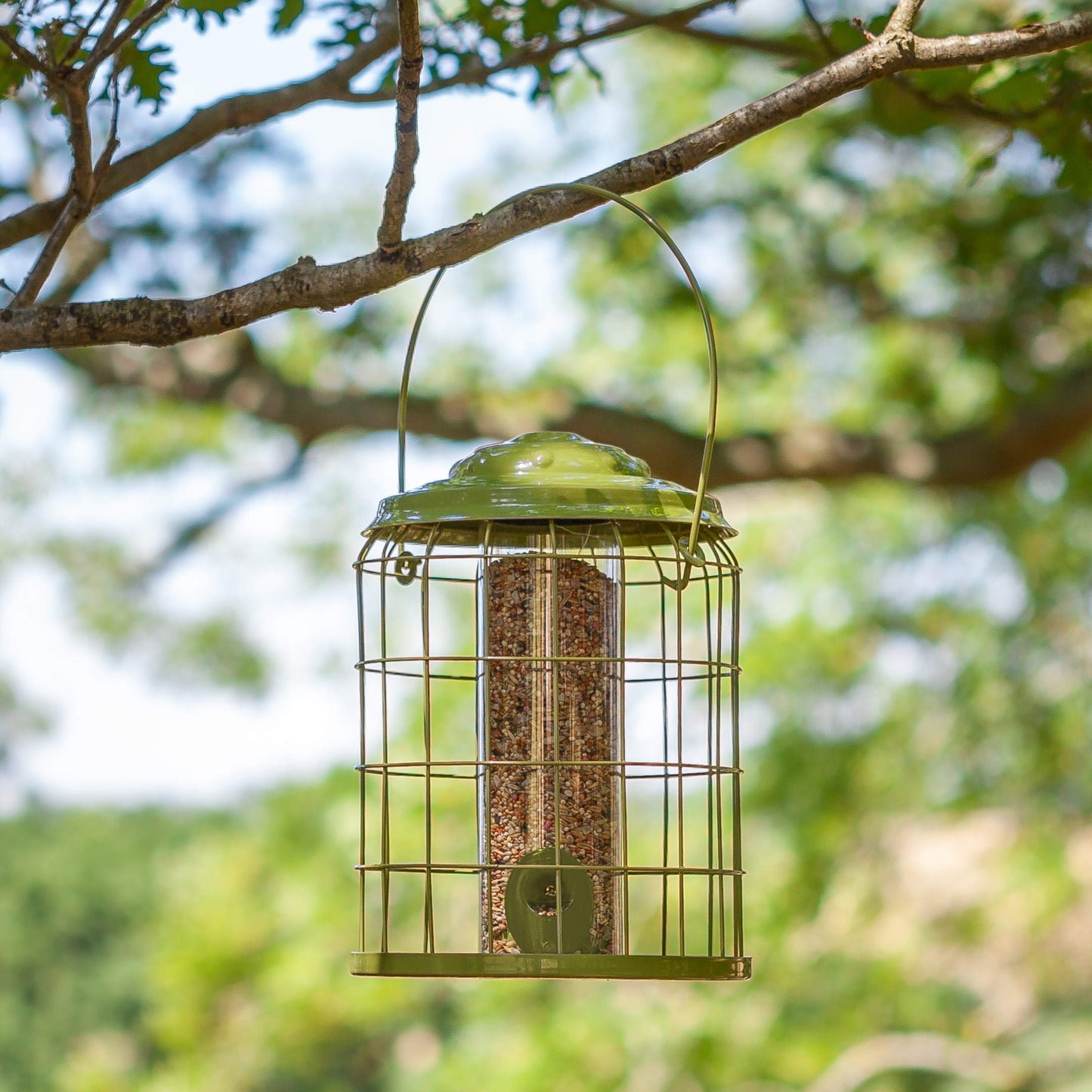 Premier Squirrel Proof Seed Feeder ⸱ odolné vtáčie kŕmitko