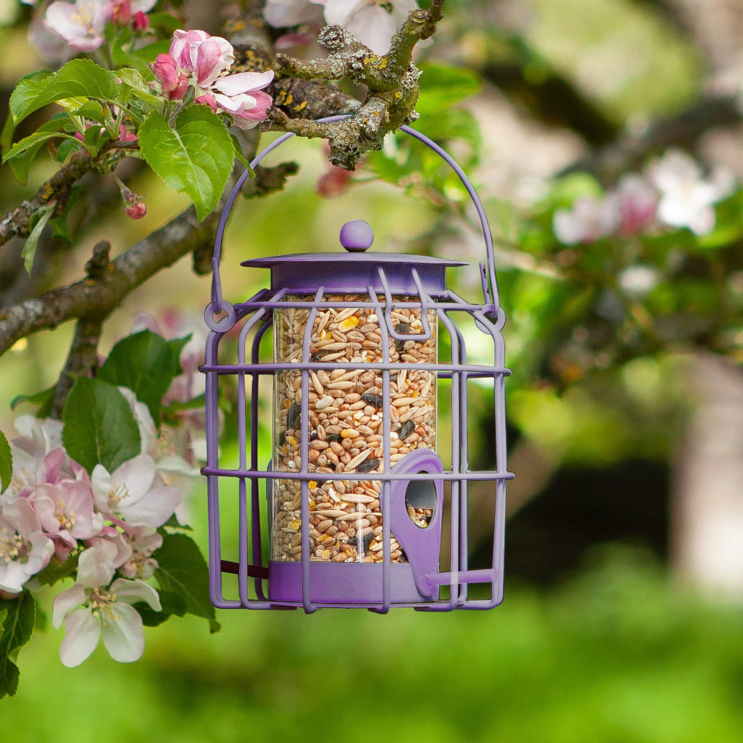 Compact Squirrel Proof Seed ⸱ odolné vtáčie kŕmitko