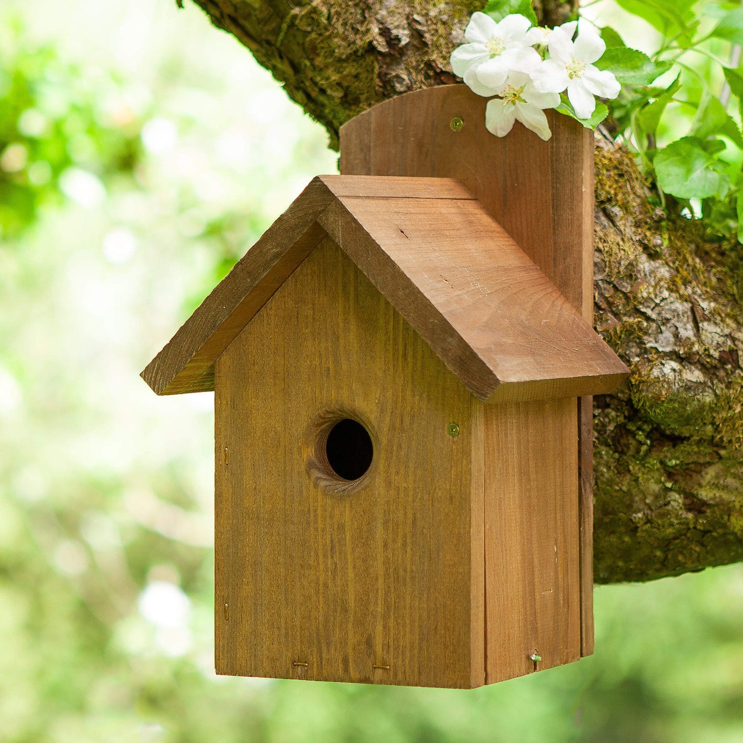 Drevená vtáčia búdka Premier od Chapelwood v záhrade