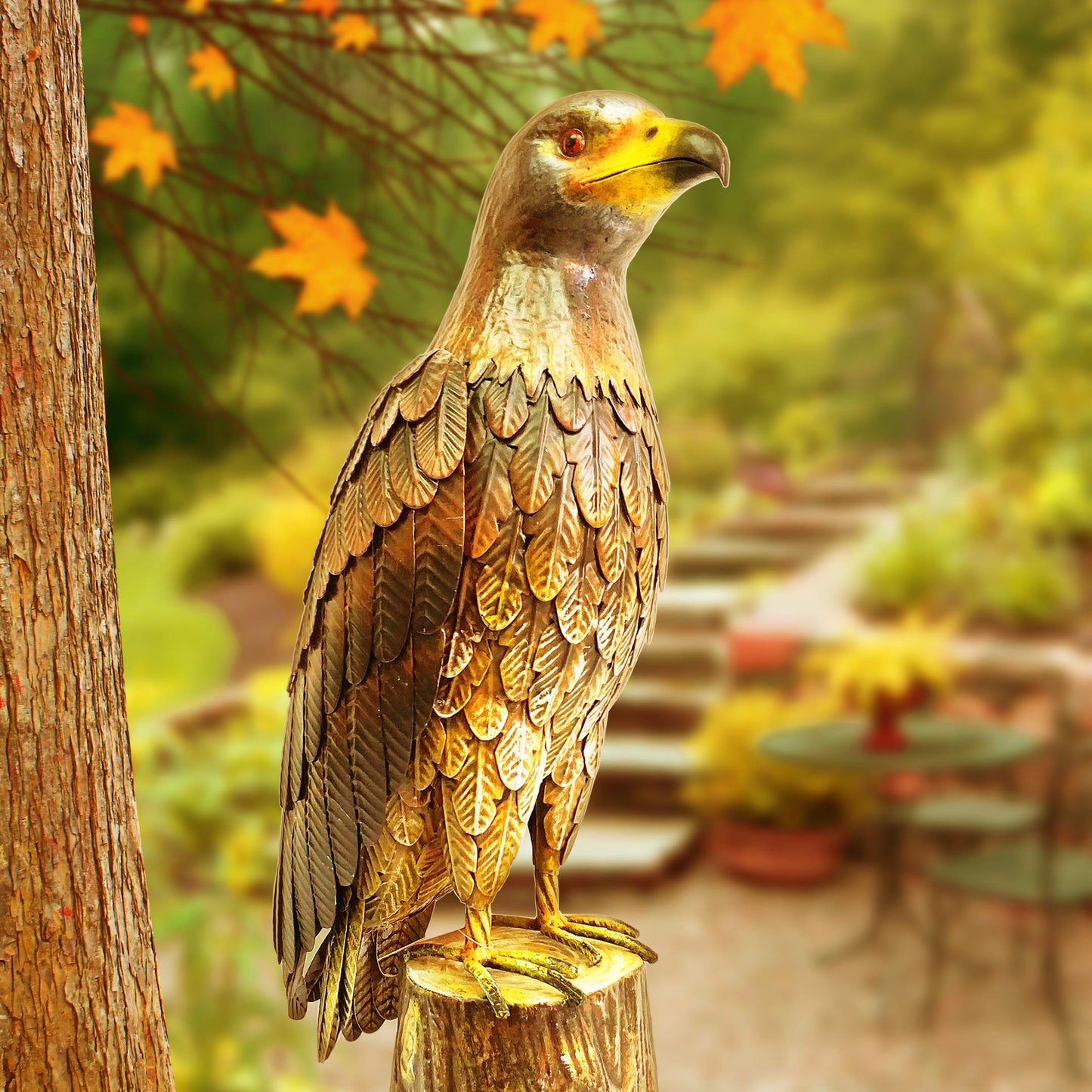 Hawk # jastrab