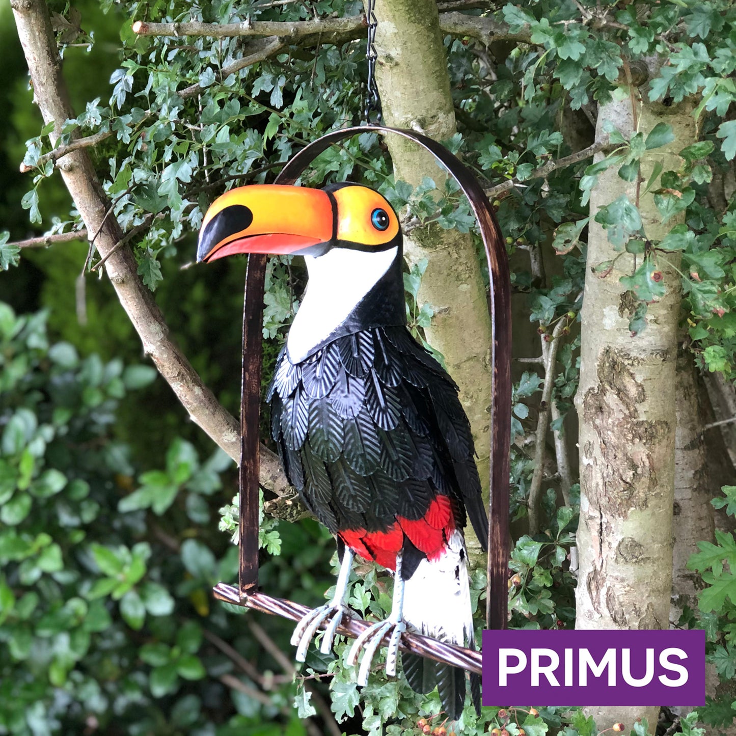 Toucan on Perch ⸱ kovová socha tukana na bidle