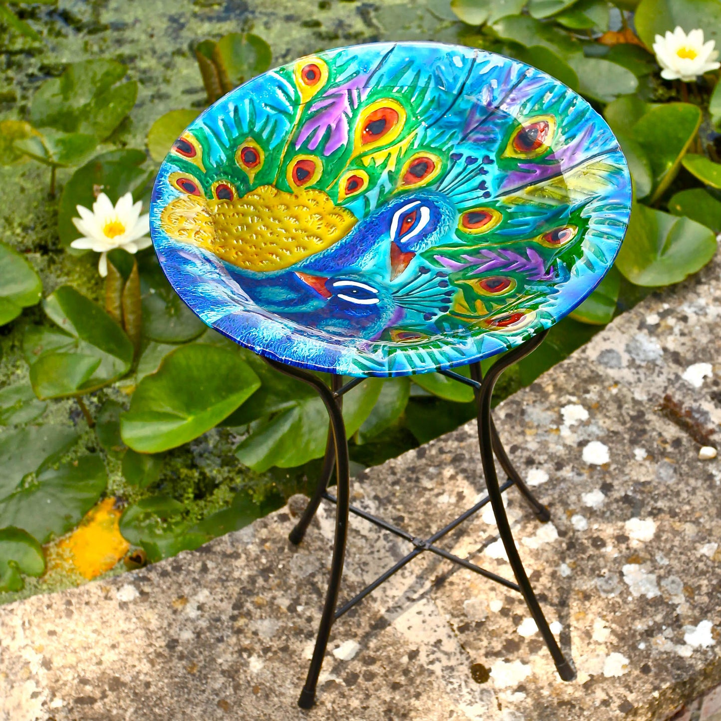 Peacock Birdbath ⸱ vtáčie napájadlo