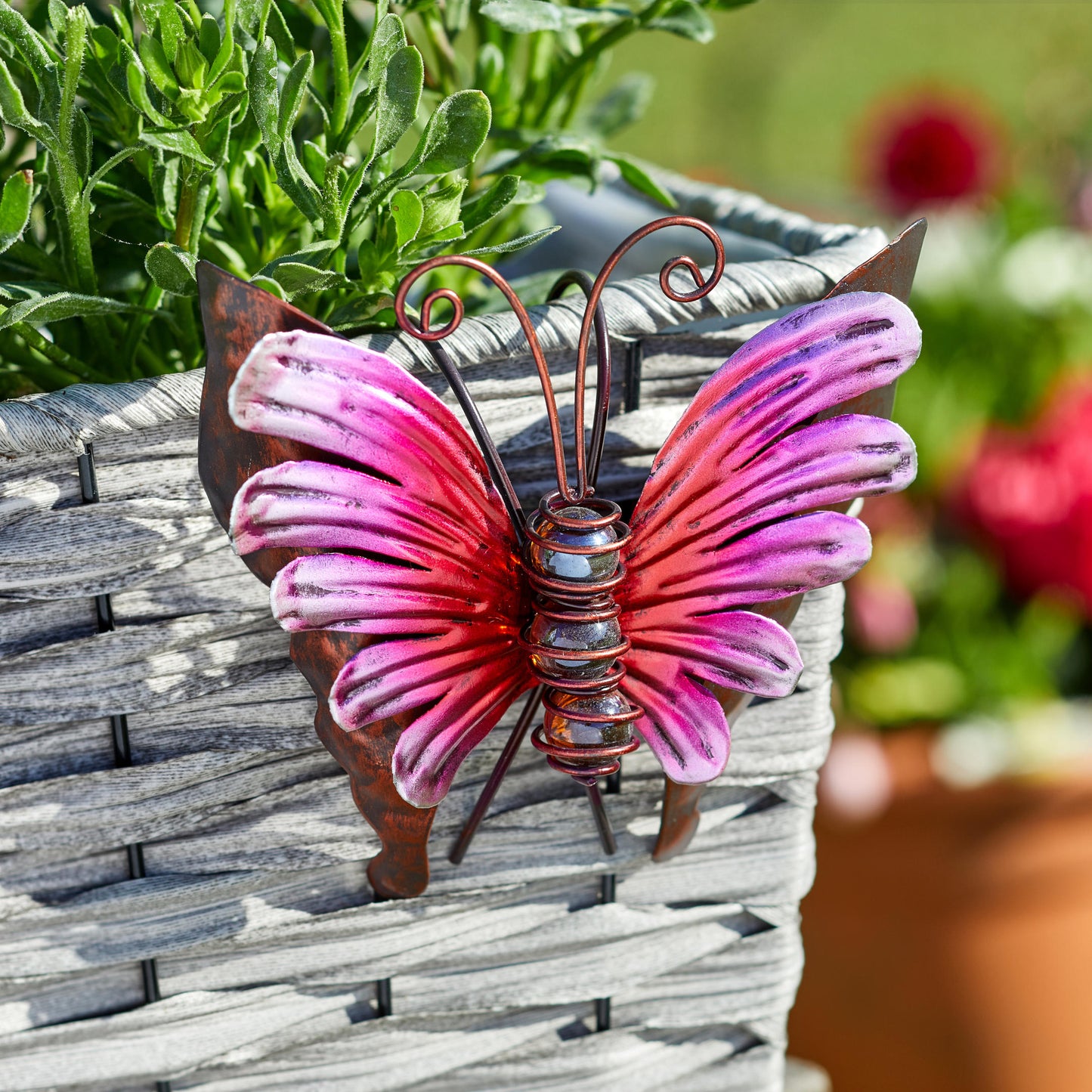 Bella Butterflies ⸱ dekorácia na kvetináč s motýľmi