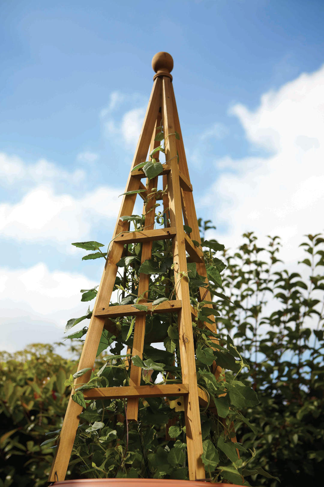 Woodland Obelisk Large ⸱ záhradný obelisk 190cm