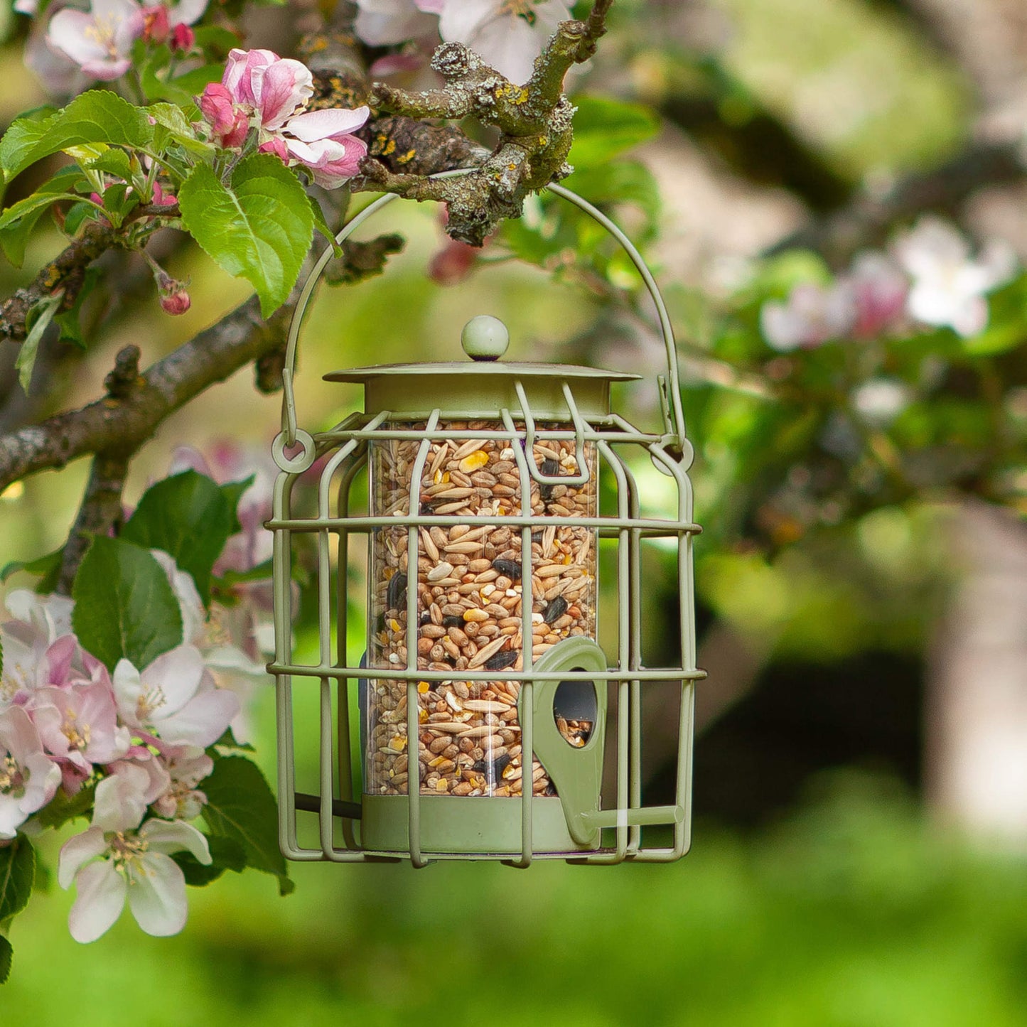 Compact Squirrel Proof Seed ⸱ odolné vtáčie kŕmitko