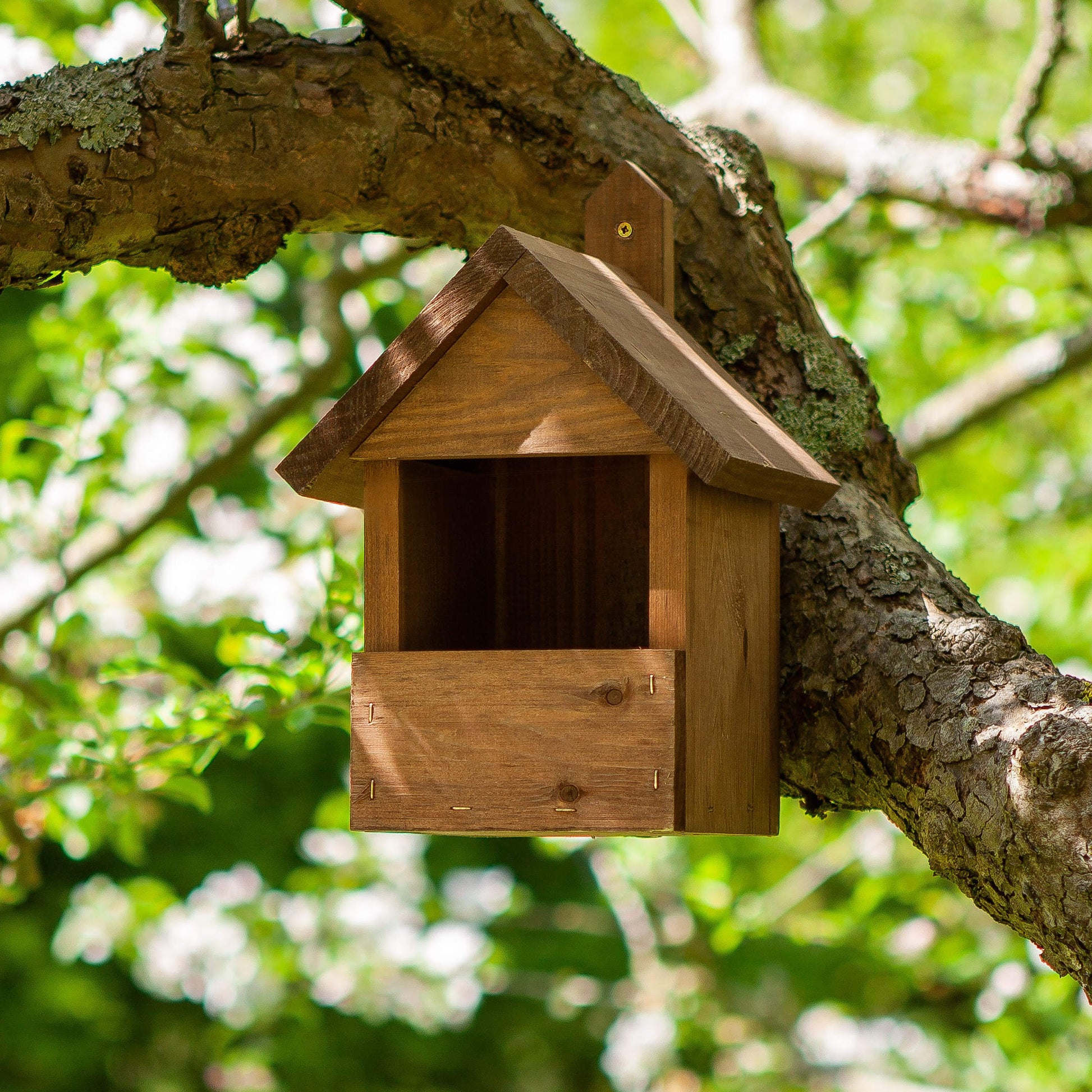 Otvorená drevená vtáčia budka Premier od Chapelwood v záhrade
