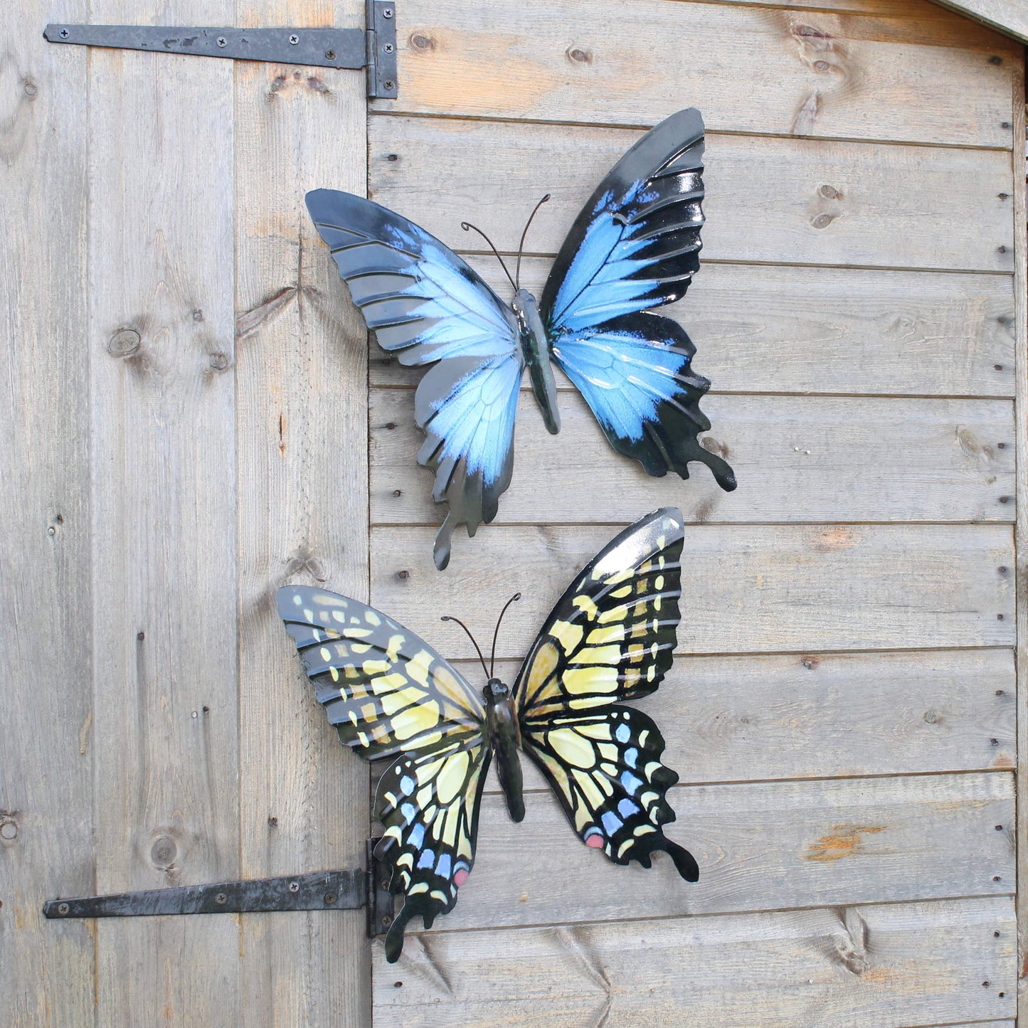 Large Butterfly Blue ⸱ kovový modrý motýľ