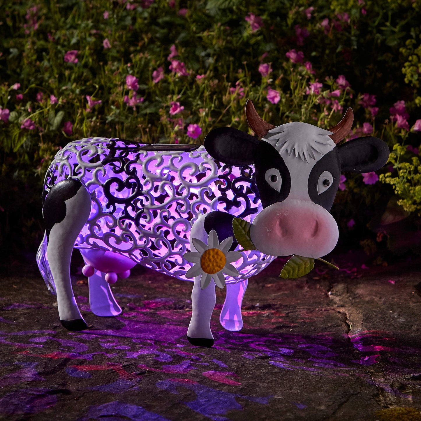 Silhouette Daisy Cow ⸱ solárna dekorácia